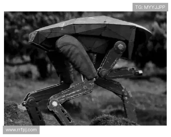 透视科技背后的黑镜寓意与人性反思的深度影视影评解析