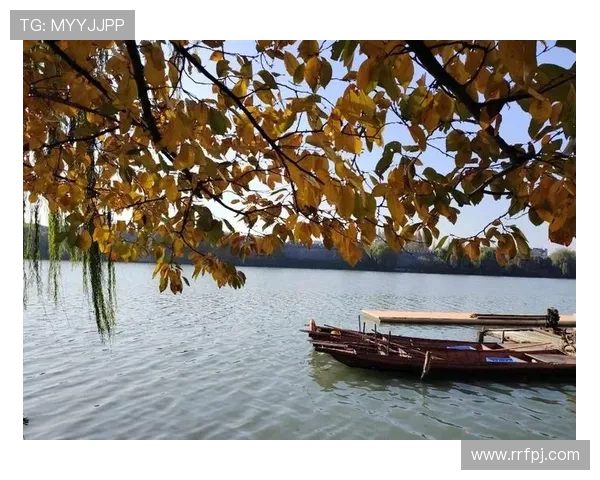 午后之爱:在静谧时光里,邂逅一场温柔的盛宴 午后之爱:在静谧时光里,邂逅一场温柔的盛宴