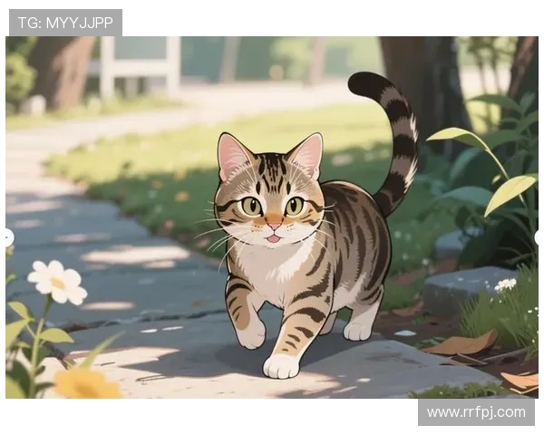 喵呜是谁叫的？一场跨越时空的温柔呼唤