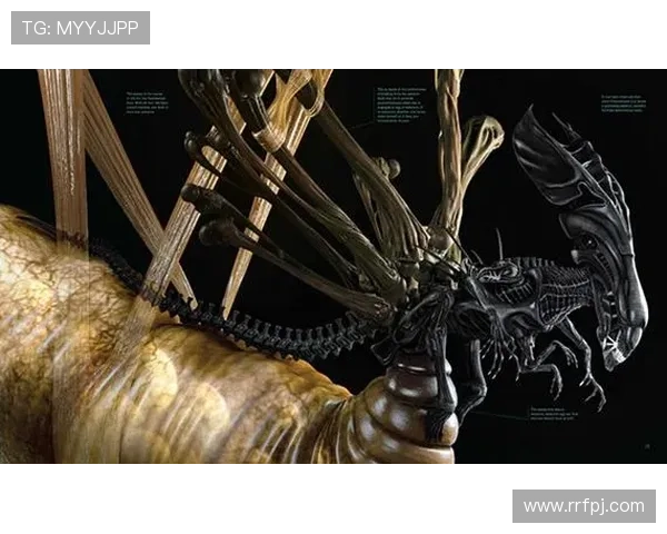 异形前传：当未知降临，人类的渺小与伟大