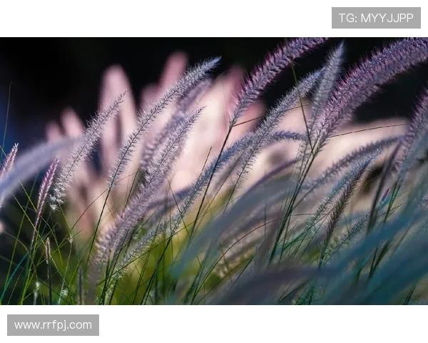 永恒的召唤：穿越时空的呼唤，生命中最深沉的渴望