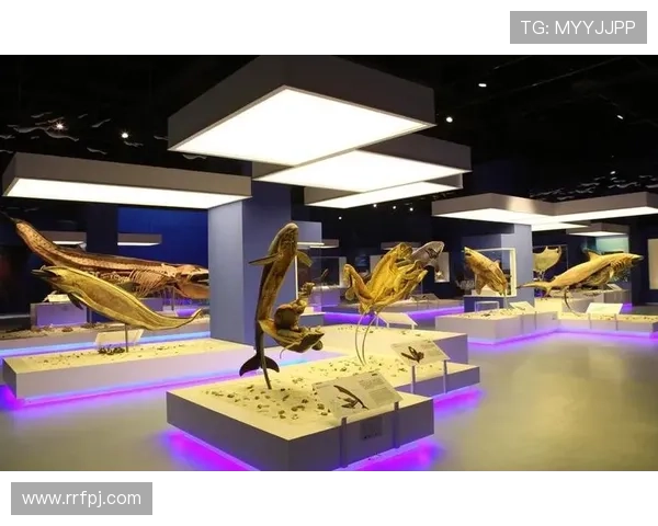 深潜地球之脉：钻井生物，开启生命奥秘新篇章